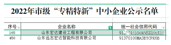 【榜上有名】LD乐动·（中国）官方网站建设荣获“2022年市级专精特新”企业